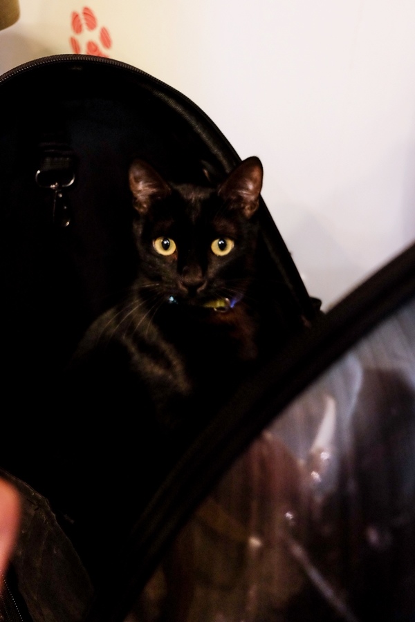 DSCF1468.jpg DSCF1468.jpg