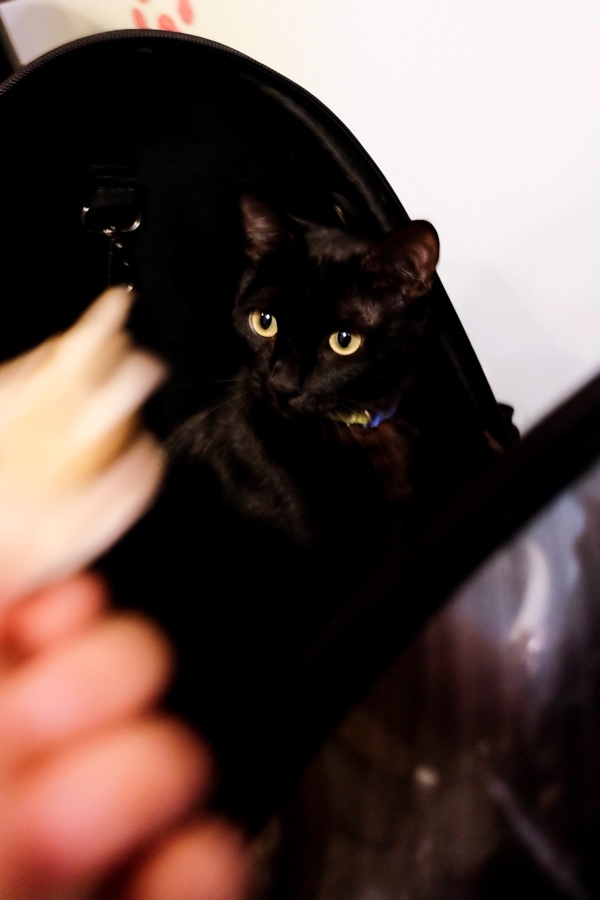 DSCF1465.jpg DSCF1465.jpg