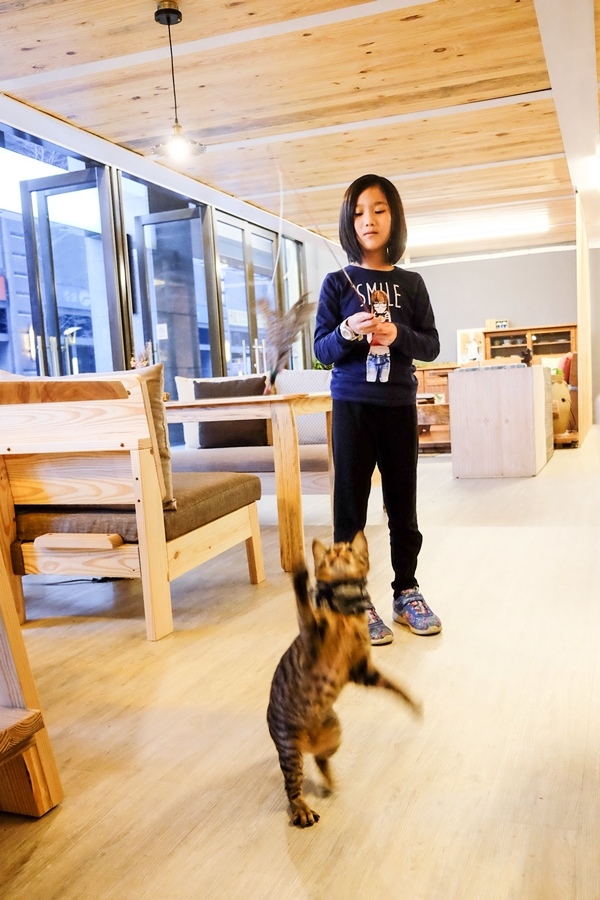 DSCF8591.jpg DSCF8591.jpg