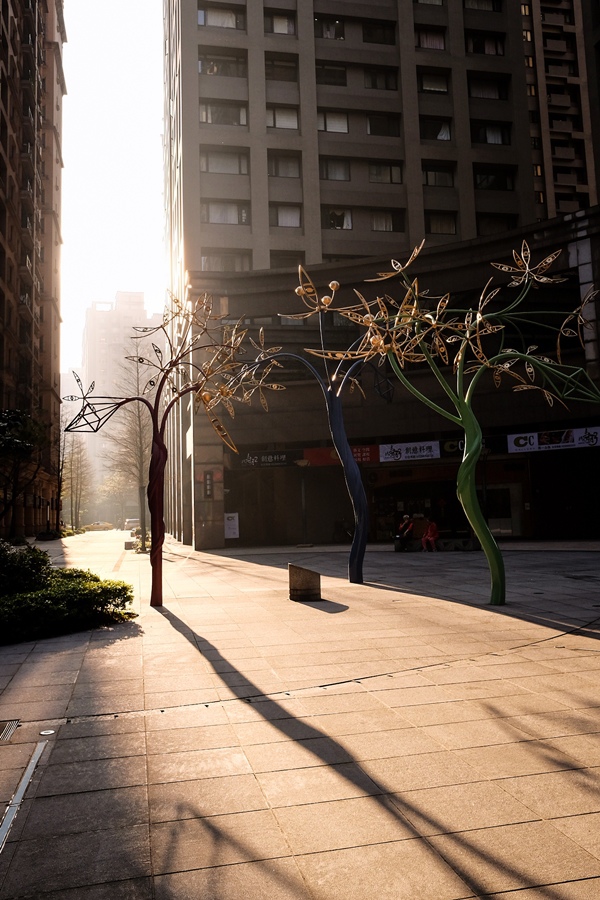 DSCF8521.jpg DSCF8521.jpg