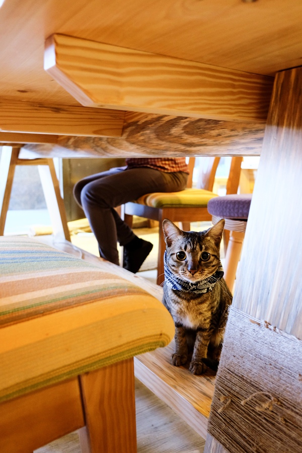 DSCF8567.jpg DSCF8567.jpg