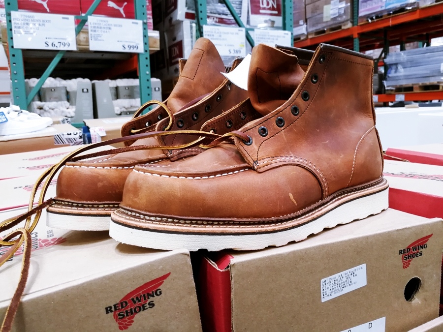 IMG_20180910_104725.jpg IMG_20180910_104725.jpg