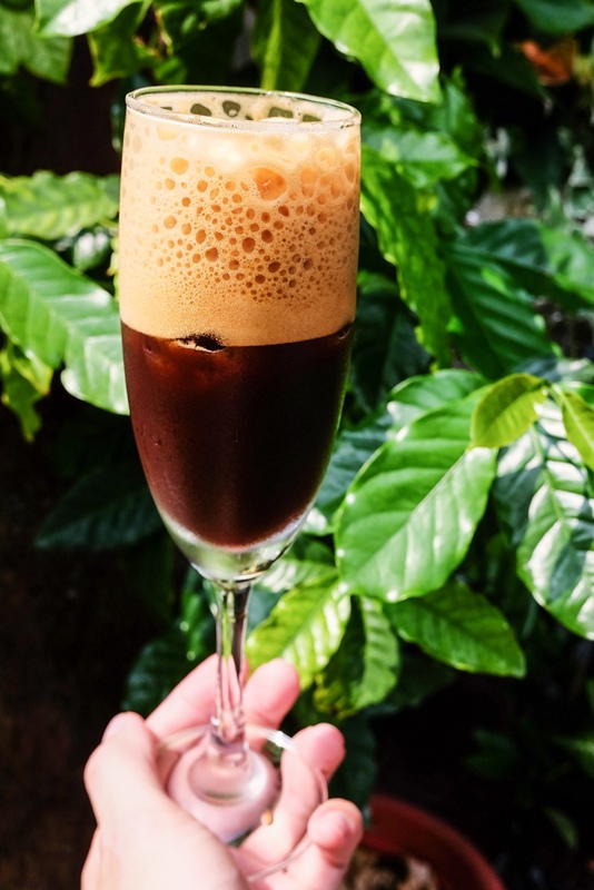 DSCF4407.jpg DSCF4407.jpg