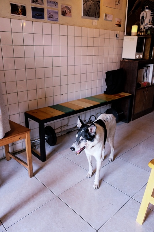 DSCF5419.jpg DSCF5419.jpg