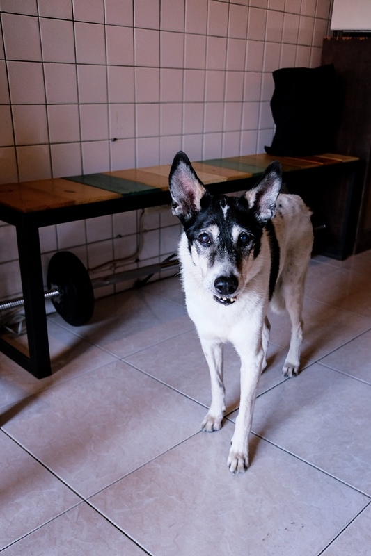 DSCF5420.jpg DSCF5420.jpg