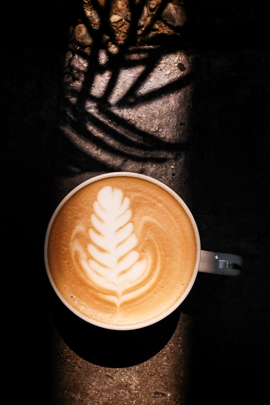 DSCF488522.jpg DSCF488522.jpg