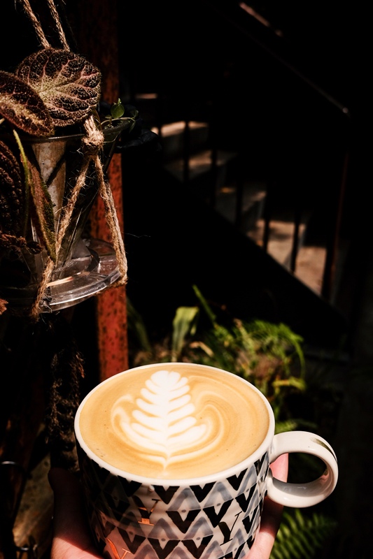 DSCF4883.jpg DSCF4883.jpg