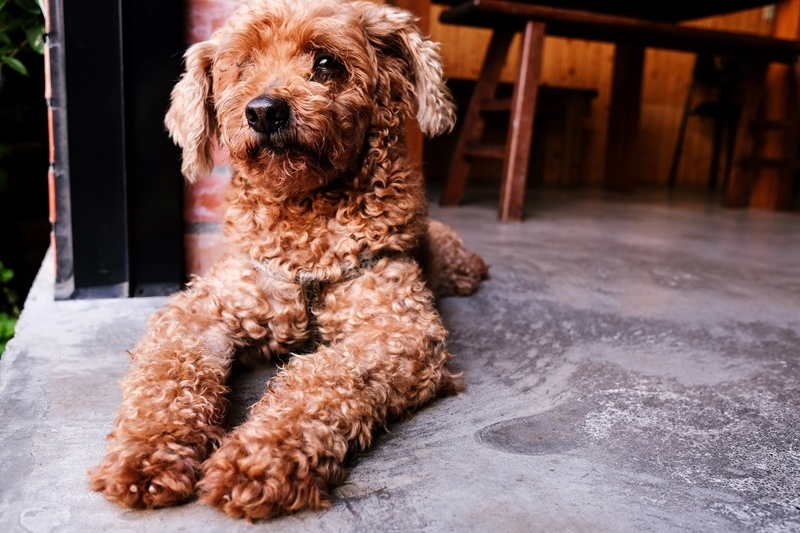 DSCF5890.jpg DSCF5890.jpg