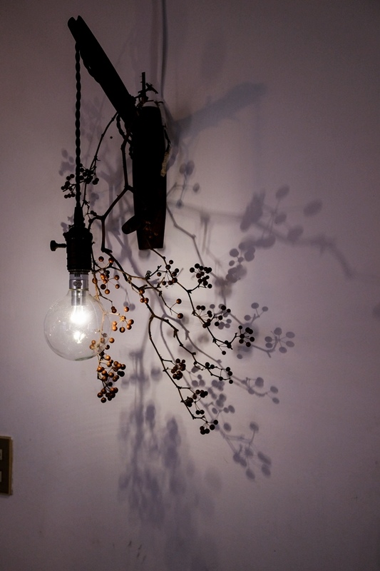 DSCF6827.jpg DSCF6827.jpg