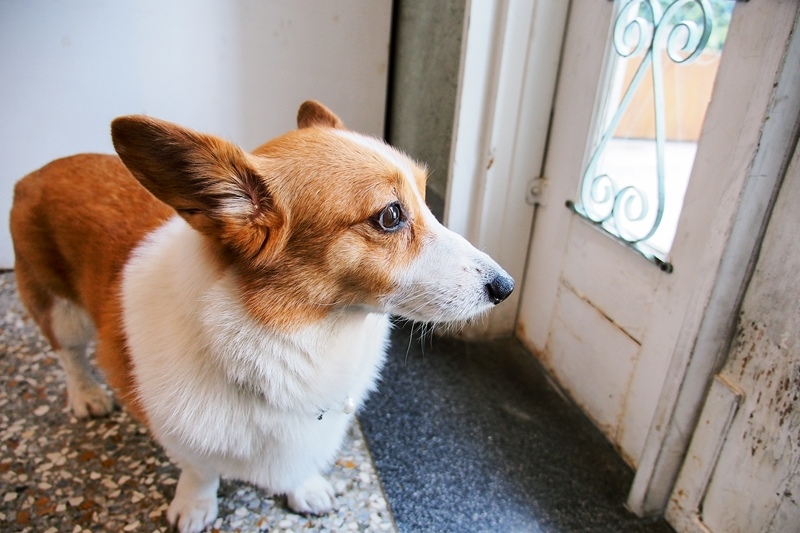 PB173850.jpg PB173850.jpg