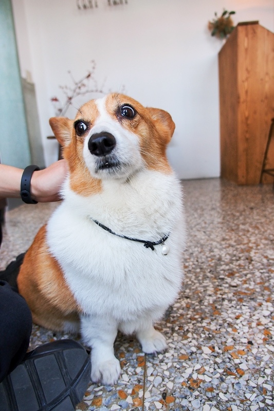 PB173857.jpg PB173857.jpg