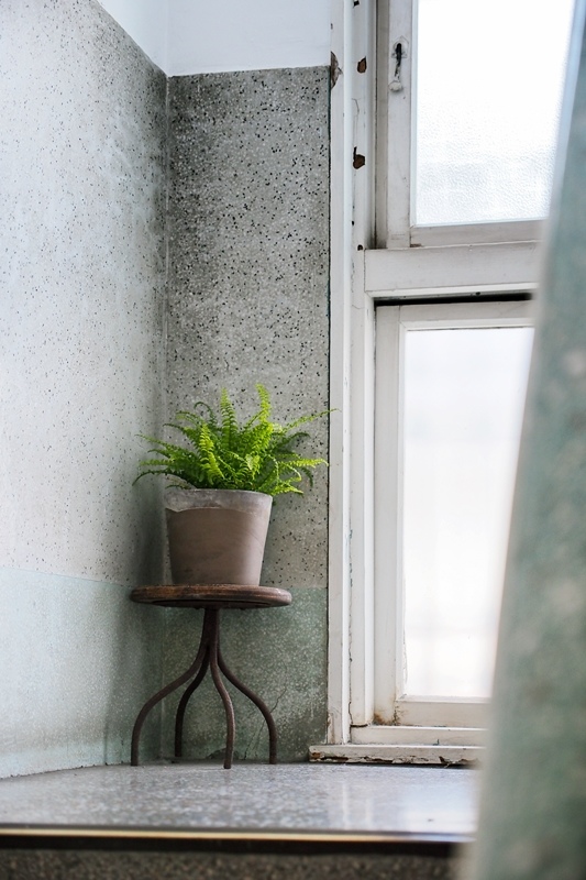 PB173860.jpg PB173860.jpg