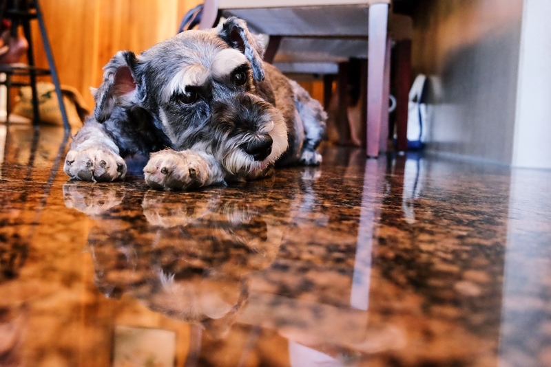 DSCF3696.jpg DSCF3696.jpg