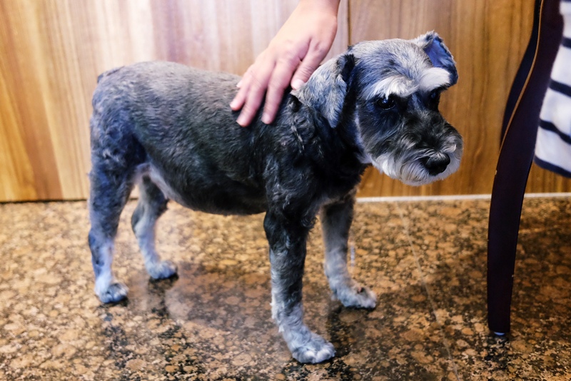 DSCF3686.jpg DSCF3686.jpg