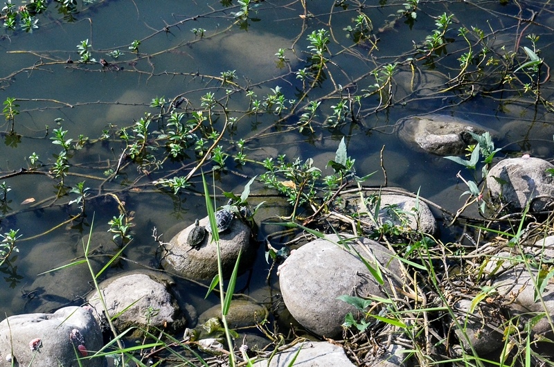 DSC_9504.jpg DSC_9504.jpg