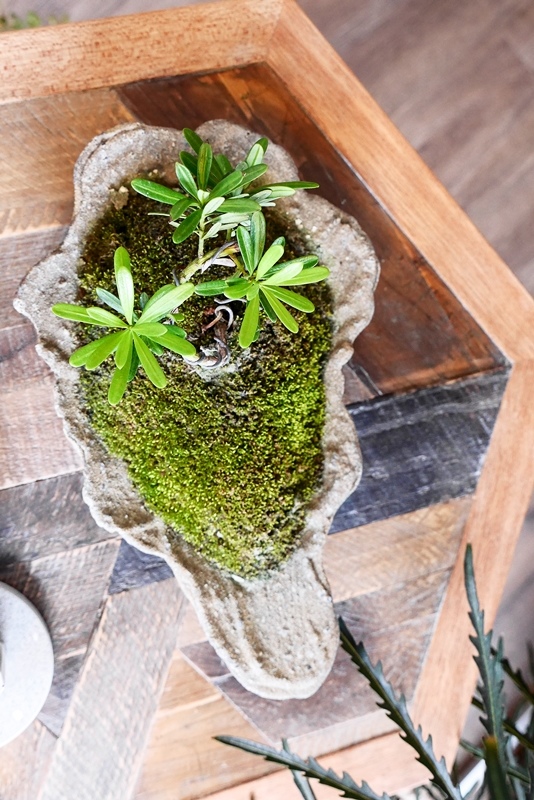 P1090663.jpg P1090663.jpg