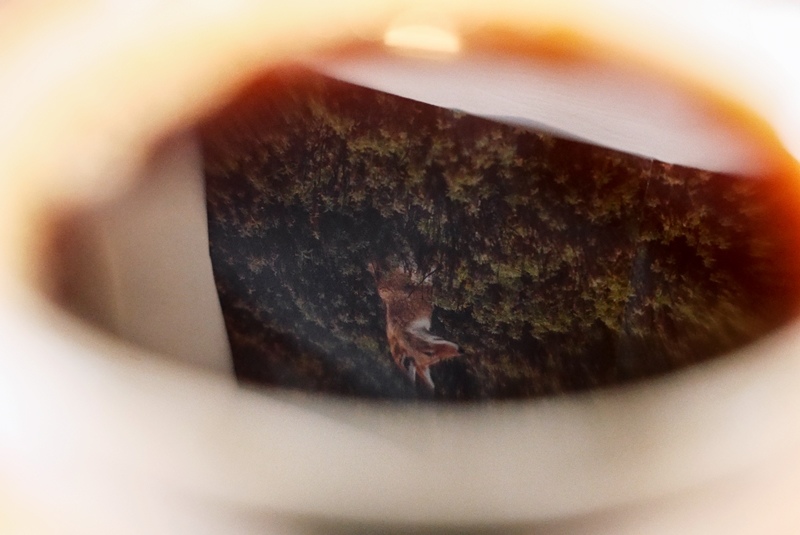 P1090696.jpg P1090696.jpg