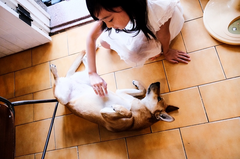 DSCF2190.jpg DSCF2190.jpg