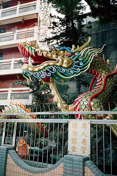 這龍專人看管，請勿餵食