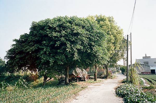 [自我感覺良好中]這張好絕妙，好鄉村根本是龍貓裡面場景啊！