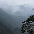 雲深不知處