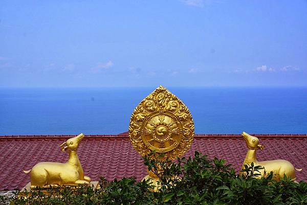 來自志工的溫暖