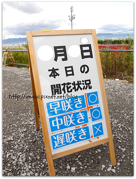 大阪 旅 如何前往大阪灣旁 盛開250萬朵百合的 大阪舞洲百合園 大阪舞洲ゆり園 Vivi吃喝玩樂 痞客邦 大阪 旅 如何前往大阪灣旁 盛開250萬朵百合的 大阪舞洲百合園 大阪舞洲ゆり園 Vivi吃喝玩樂 痞客邦