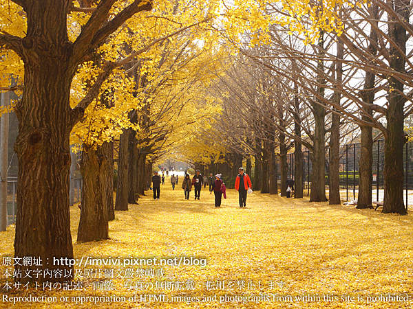 東京 旅 秋天東京賞銀杏 漫步在銀杏鋪成的黃金地毯 國營昭和紀念公園 国営昭和記念公園 Vivi吃喝玩樂 痞客邦