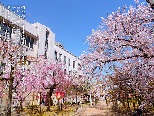 P2380133.png P2380133.png