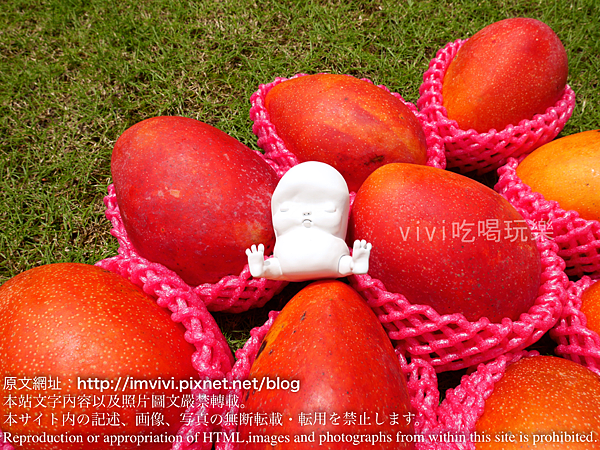 P1320668.png P1320668.png