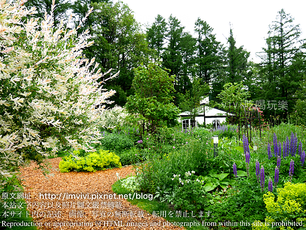 P1340375.png P1340375.png