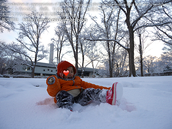 P1590166.png P1590166.png