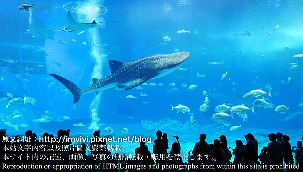 P1610743.png P1610743.png