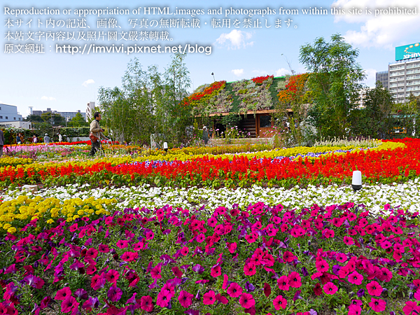 P1560186.png P1560186.png