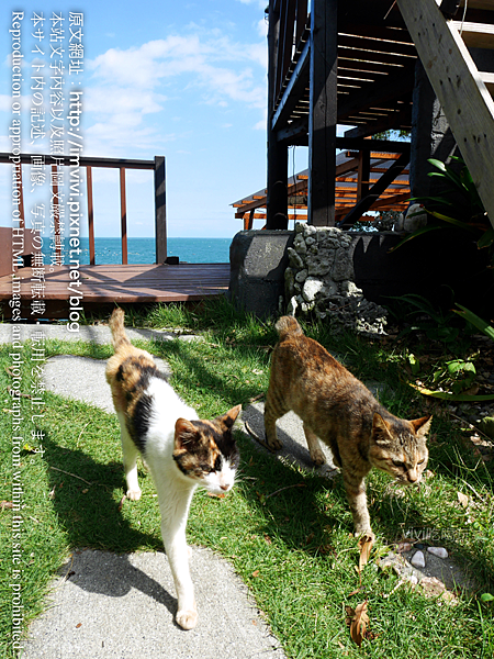 P2140232.png P2140232.png