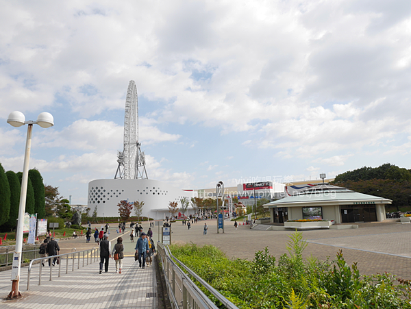 P1560432.png P1560432.png