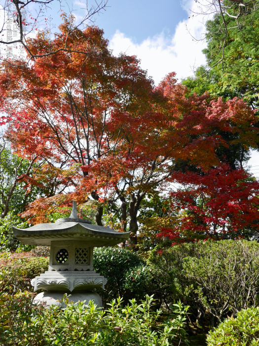 京都 旅 京都市 靈源院 霊源院 每年楓葉季期間才有的御朱印 Vivi吃喝玩樂 痞客邦