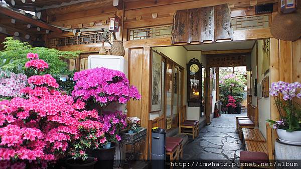 土俗村蔘雞湯DSC01911 土俗村蔘雞湯DSC01911
