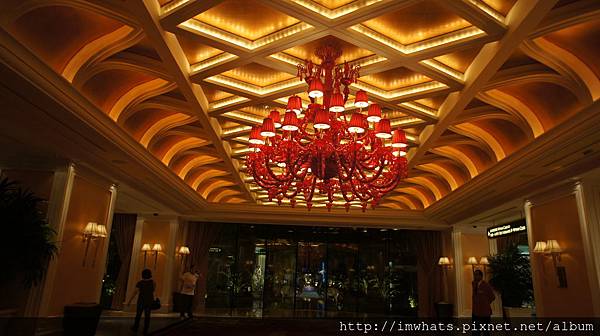 永利黃金樹DSC04268 永利黃金樹DSC04268