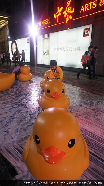 海港城rubber duckDSC09774.JPG