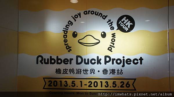 海港城rubber duckDSC09789.JPG