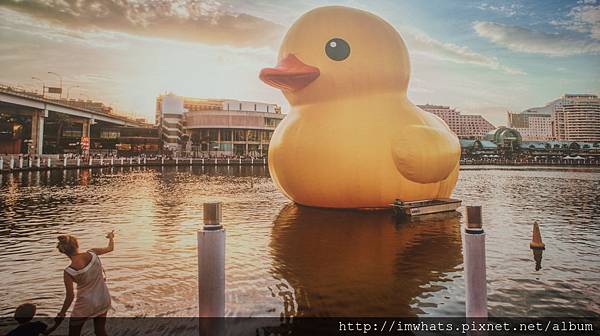 海港城rubber duckDSC09825.JPG