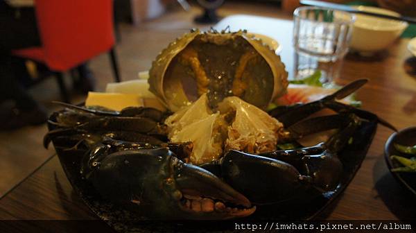 八腳老大DSC00725.JPG 八腳老大DSC00725.JPG