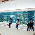 AEON Mall RYCOMDSC05702.JPG