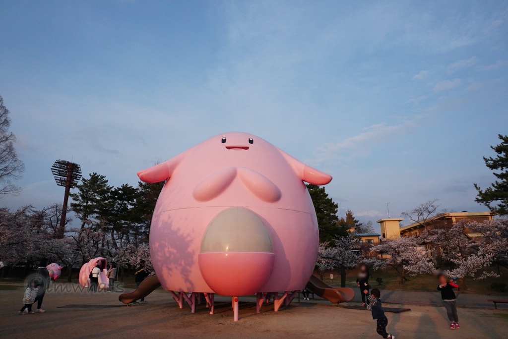 2025日本東北•到有吉利蛋的福島開成山公園賞櫻吧