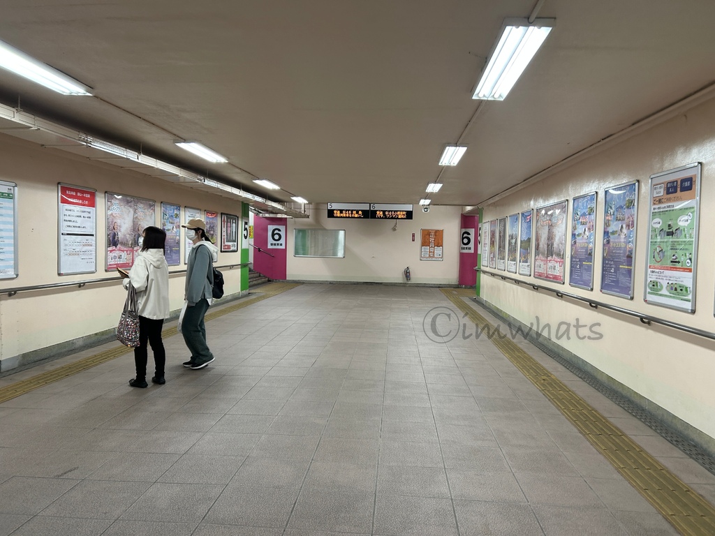 2025日本東北•福島三春瀧櫻