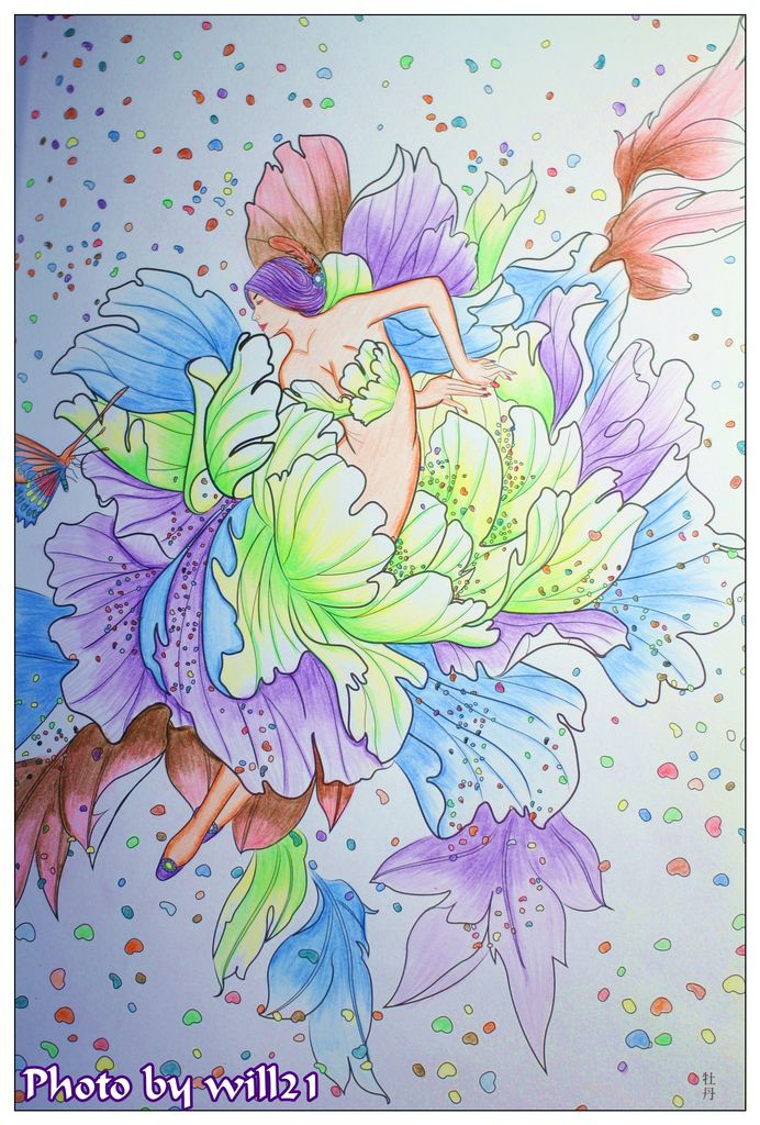 花精靈的森林冒險 Ptt Dcard討論與高評價網拍商品 2021年11月 飛比價格