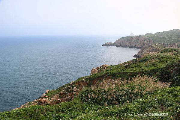 IMG_6830.JPG IMG_6830.JPG