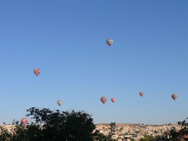 P1090515.JPG