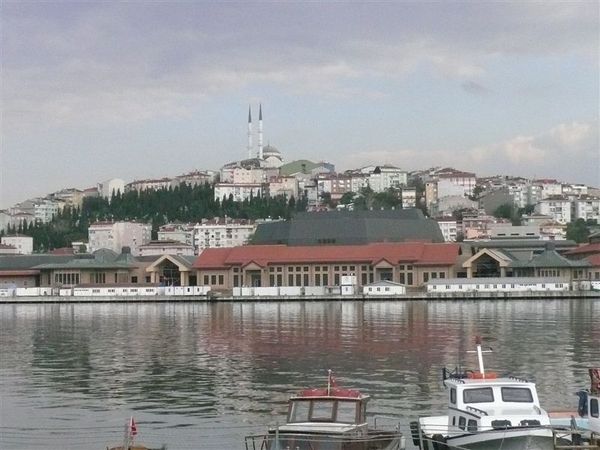 P1180141.JPG